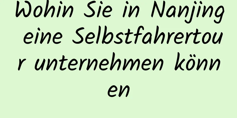 Wohin Sie in Nanjing eine Selbstfahrertour unternehmen können