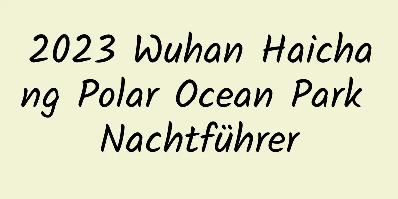 2023 Wuhan Haichang Polar Ocean Park Nachtführer