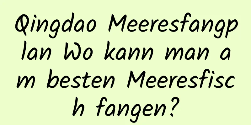 Qingdao Meeresfangplan Wo kann man am besten Meeresfisch fangen?