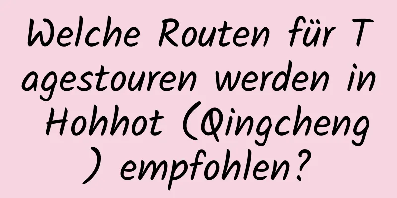 Welche Routen für Tagestouren werden in Hohhot (Qingcheng) empfohlen?