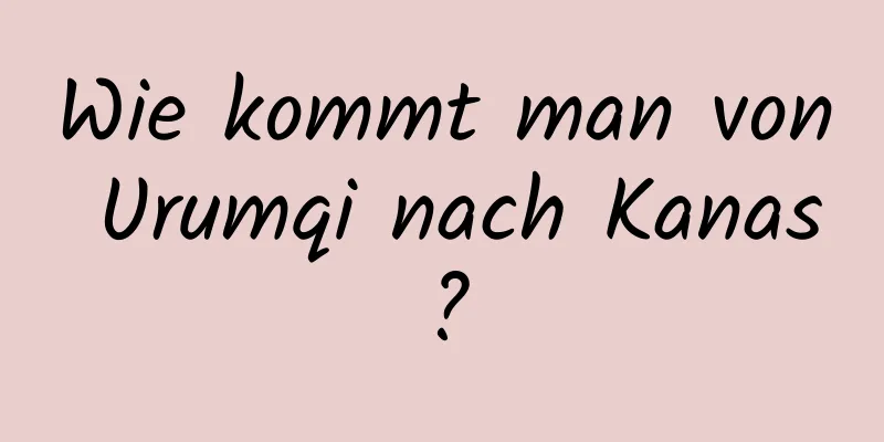 Wie kommt man von Urumqi nach Kanas?