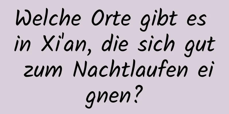 Welche Orte gibt es in Xi'an, die sich gut zum Nachtlaufen eignen?