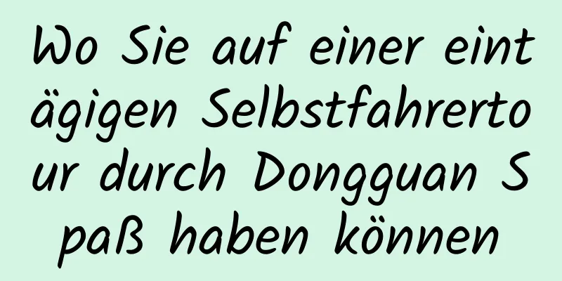 Wo Sie auf einer eintägigen Selbstfahrertour durch Dongguan Spaß haben können