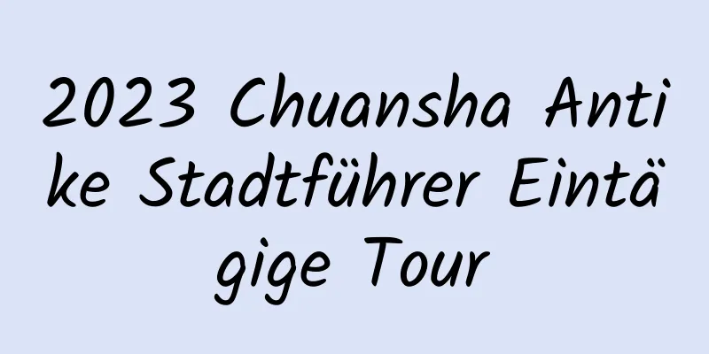 2023 Chuansha Antike Stadtführer Eintägige Tour