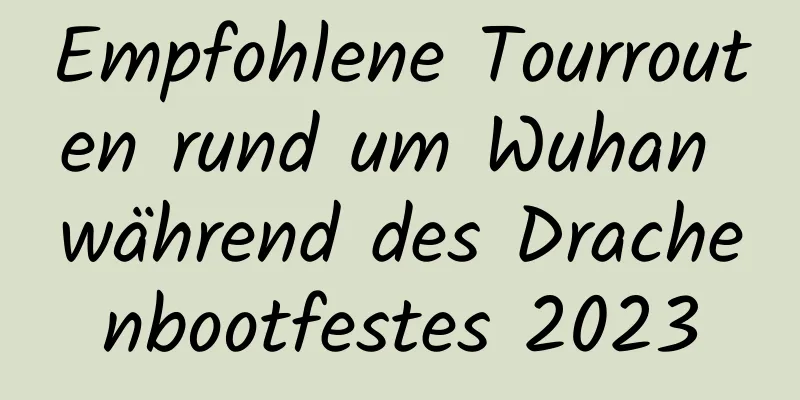 Empfohlene Tourrouten rund um Wuhan während des Drachenbootfestes 2023