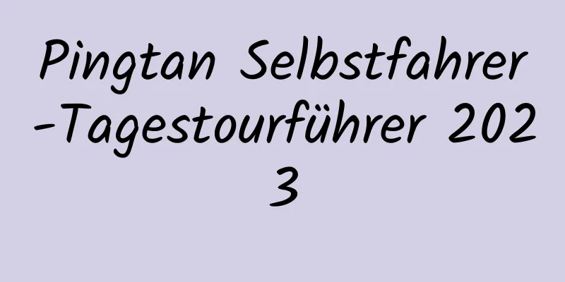 Pingtan Selbstfahrer-Tagestourführer 2023