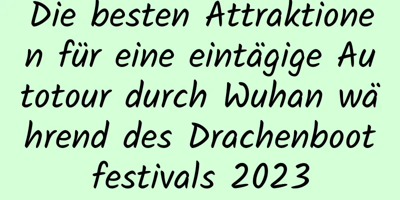 Die besten Attraktionen für eine eintägige Autotour durch Wuhan während des Drachenbootfestivals 2023