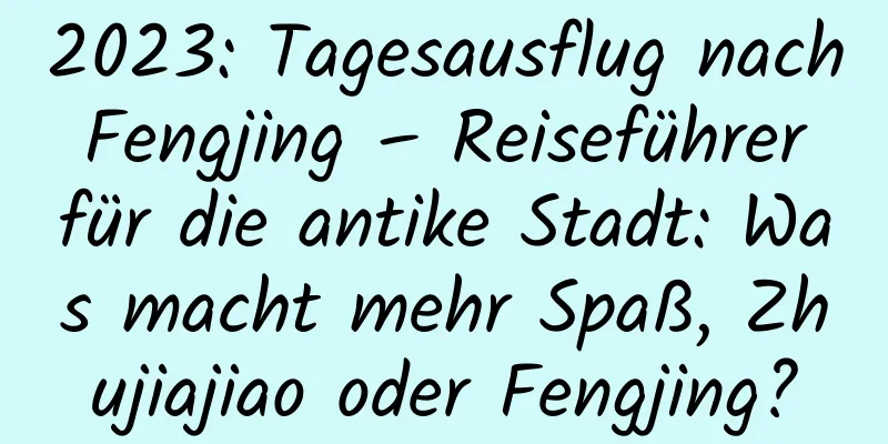 2023: Tagesausflug nach Fengjing – Reiseführer für die antike Stadt: Was macht mehr Spaß, Zhujiajiao oder Fengjing?