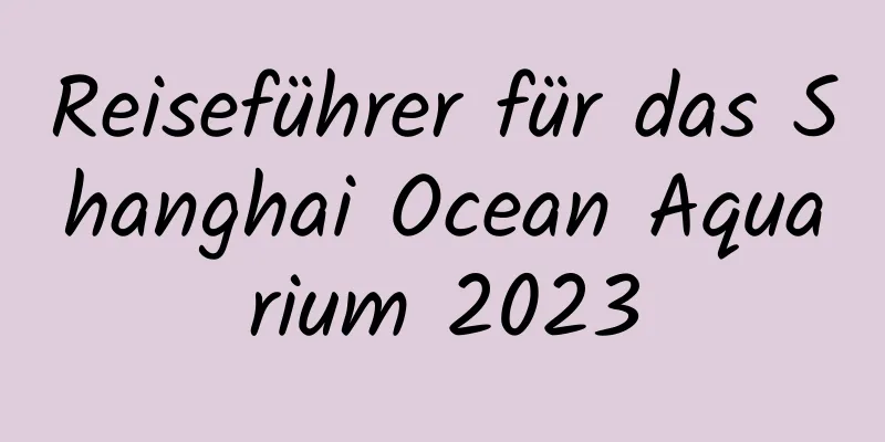 Reiseführer für das Shanghai Ocean Aquarium 2023