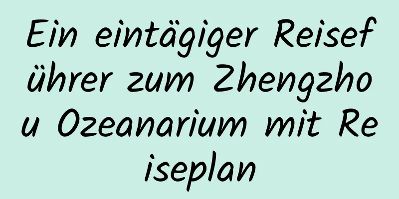 Ein eintägiger Reiseführer zum Zhengzhou Ozeanarium mit Reiseplan