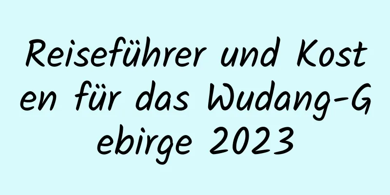 Reiseführer und Kosten für das Wudang-Gebirge 2023