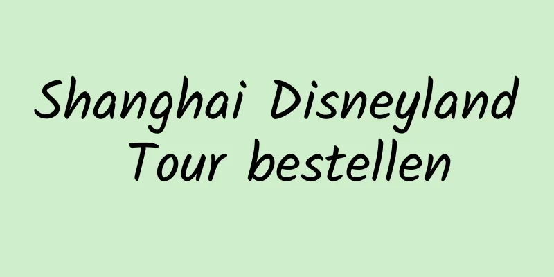 Shanghai Disneyland Tour bestellen