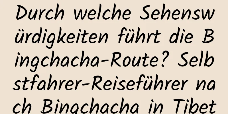 Durch welche Sehenswürdigkeiten führt die Bingchacha-Route? Selbstfahrer-Reiseführer nach Bingchacha in Tibet