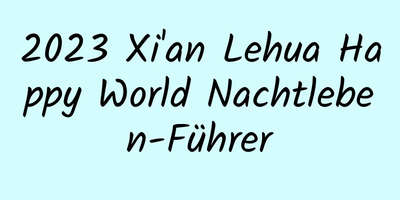 2023 Xi'an Lehua Happy World Nachtleben-Führer