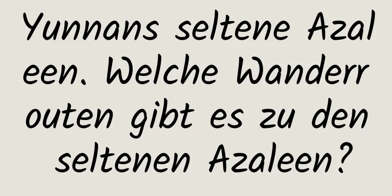 Yunnans seltene Azaleen. Welche Wanderrouten gibt es zu den seltenen Azaleen?