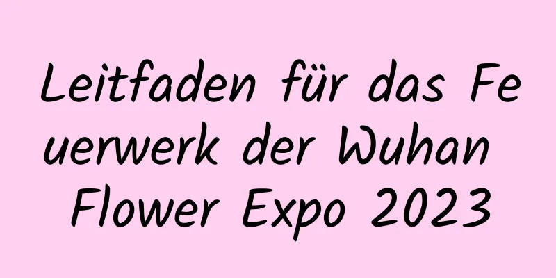 Leitfaden für das Feuerwerk der Wuhan Flower Expo 2023