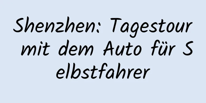 Shenzhen: Tagestour mit dem Auto für Selbstfahrer