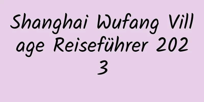 Shanghai Wufang Village Reiseführer 2023