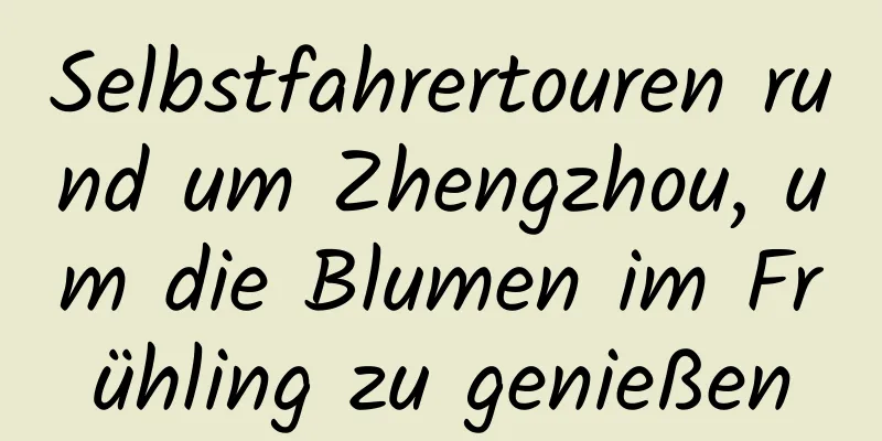 Selbstfahrertouren rund um Zhengzhou, um die Blumen im Frühling zu genießen