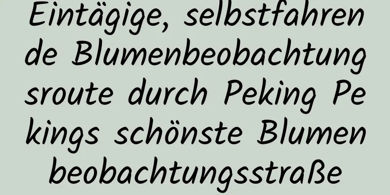 Eintägige, selbstfahrende Blumenbeobachtungsroute durch Peking Pekings schönste Blumenbeobachtungsstraße