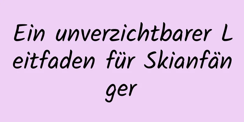 Ein unverzichtbarer Leitfaden für Skianfänger