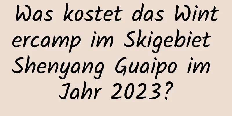 Was kostet das Wintercamp im Skigebiet Shenyang Guaipo im Jahr 2023?