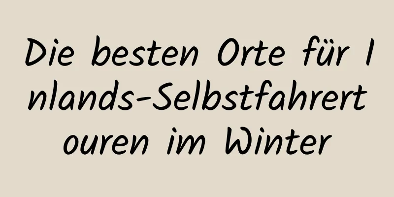 Die besten Orte für Inlands-Selbstfahrertouren im Winter