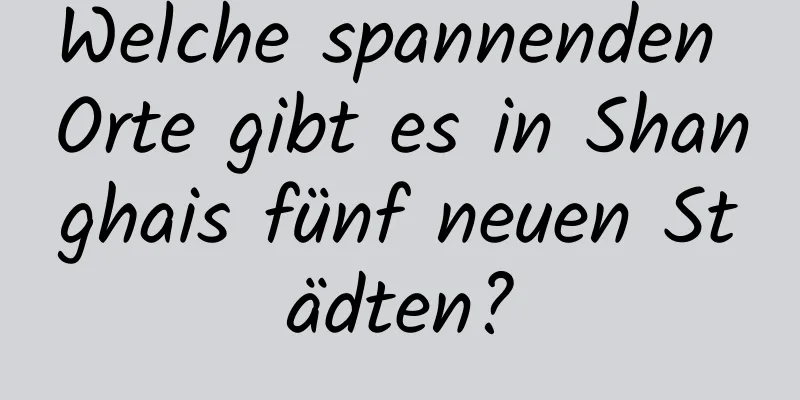 Welche spannenden Orte gibt es in Shanghais fünf neuen Städten?