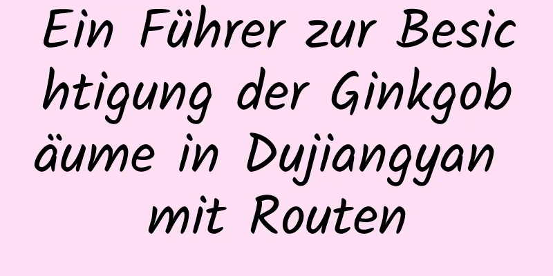 Ein Führer zur Besichtigung der Ginkgobäume in Dujiangyan mit Routen