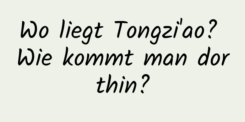 Wo liegt Tongzi'ao? Wie kommt man dorthin?