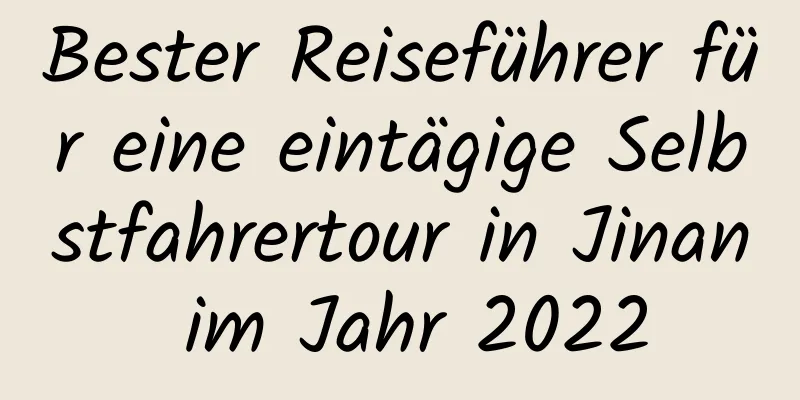 Bester Reiseführer für eine eintägige Selbstfahrertour in Jinan im Jahr 2022