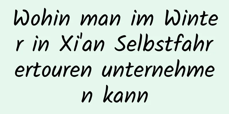 Wohin man im Winter in Xi'an Selbstfahrertouren unternehmen kann