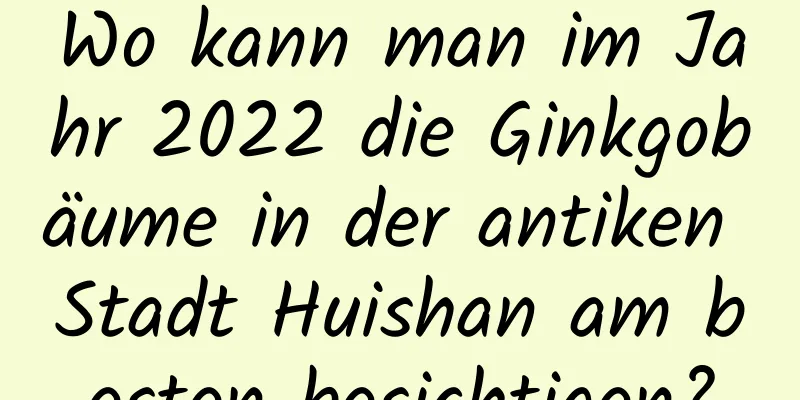 Wo kann man im Jahr 2022 die Ginkgobäume in der antiken Stadt Huishan am besten besichtigen?