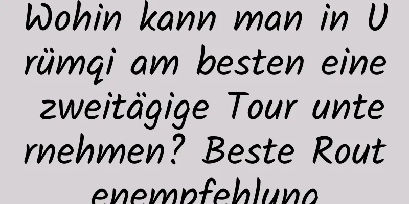 Wohin kann man in Ürümqi am besten eine zweitägige Tour unternehmen? Beste Routenempfehlung