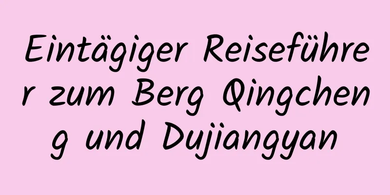 Eintägiger Reiseführer zum Berg Qingcheng und Dujiangyan