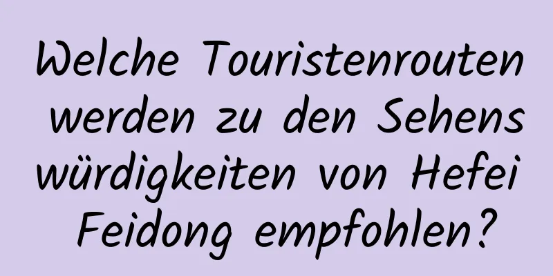 Welche Touristenrouten werden zu den Sehenswürdigkeiten von Hefei Feidong empfohlen?