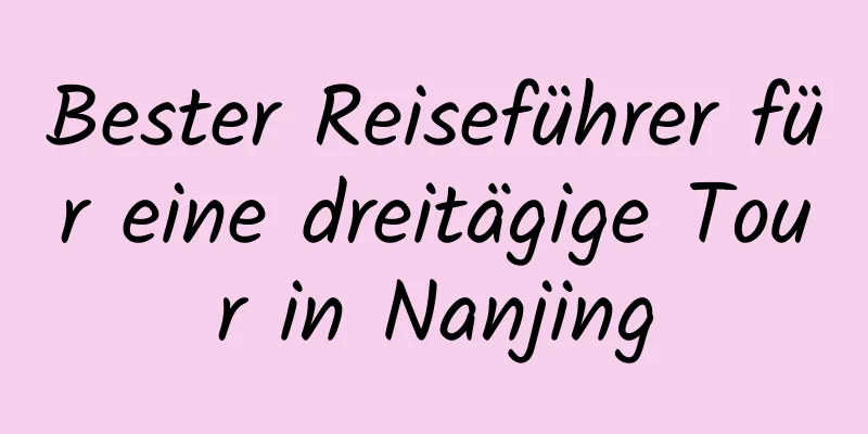 Bester Reiseführer für eine dreitägige Tour in Nanjing