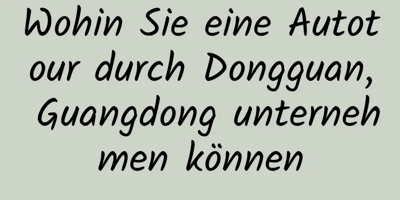 Wohin Sie eine Autotour durch Dongguan, Guangdong unternehmen können