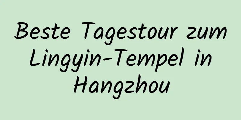 Beste Tagestour zum Lingyin-Tempel in Hangzhou