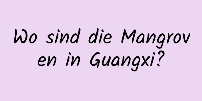 Wo sind die Mangroven in Guangxi?