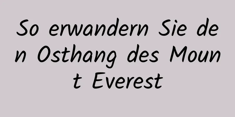 So erwandern Sie den Osthang des Mount Everest