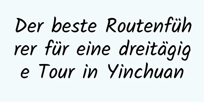 Der beste Routenführer für eine dreitägige Tour in Yinchuan