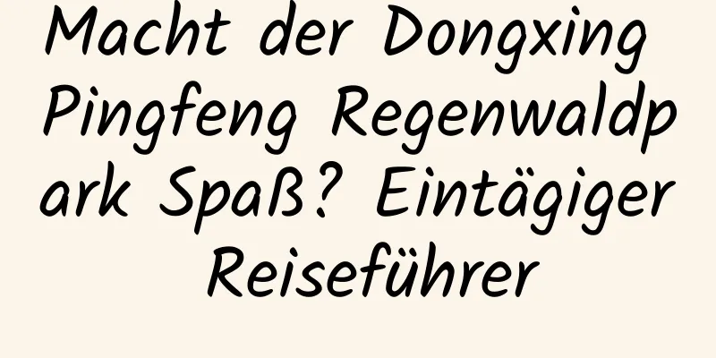 Macht der Dongxing Pingfeng Regenwaldpark Spaß? Eintägiger Reiseführer