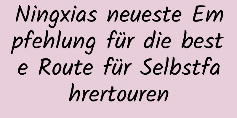 Ningxias neueste Empfehlung für die beste Route für Selbstfahrertouren