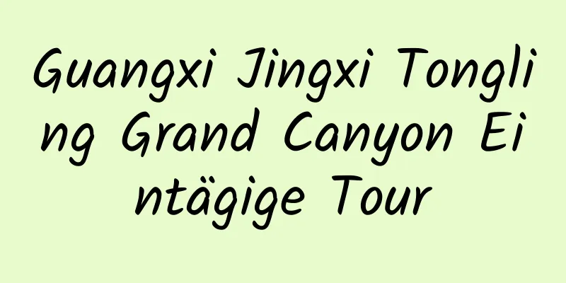 Guangxi Jingxi Tongling Grand Canyon Eintägige Tour