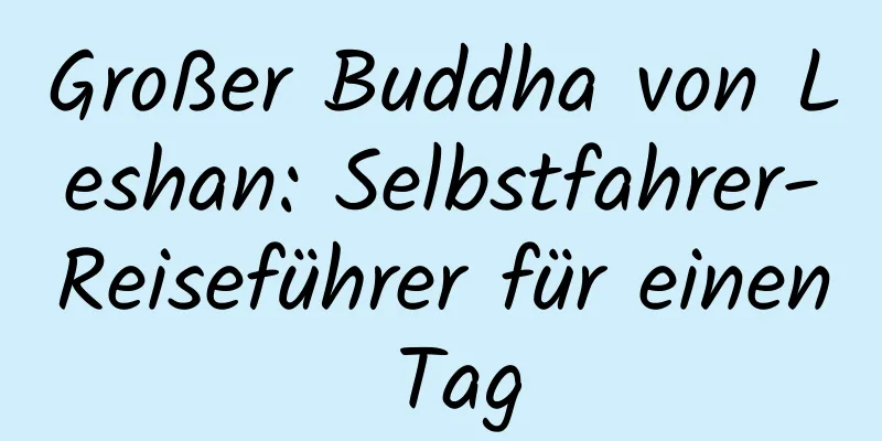 Großer Buddha von Leshan: Selbstfahrer-Reiseführer für einen Tag