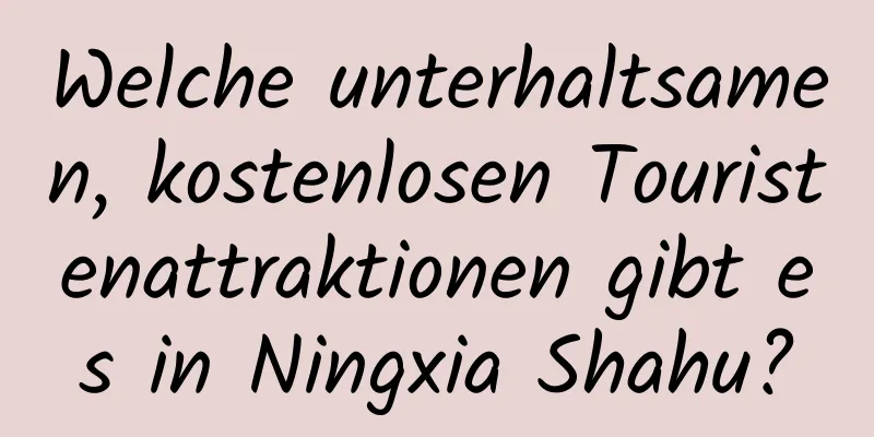 Welche unterhaltsamen, kostenlosen Touristenattraktionen gibt es in Ningxia Shahu?