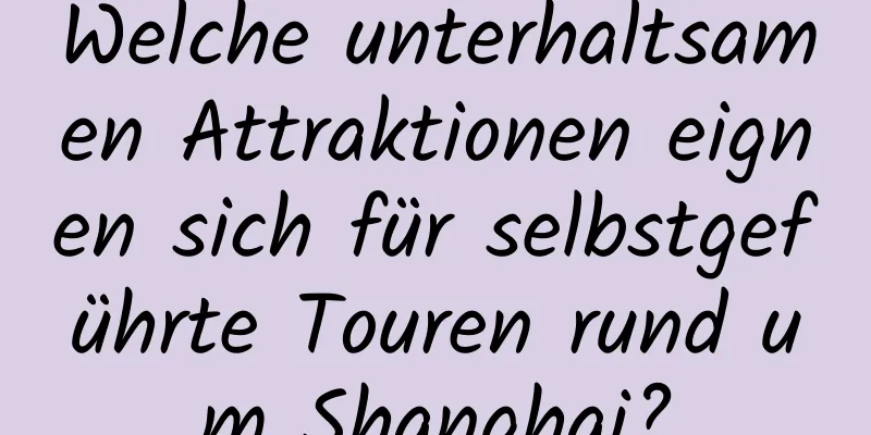 Welche unterhaltsamen Attraktionen eignen sich für selbstgeführte Touren rund um Shanghai?