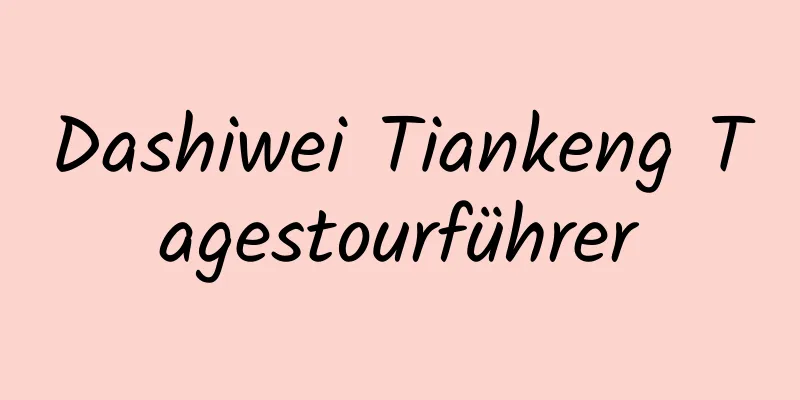 Dashiwei Tiankeng Tagestourführer