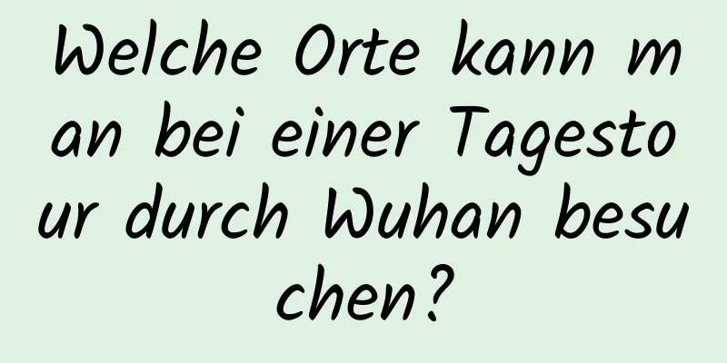 Welche Orte kann man bei einer Tagestour durch Wuhan besuchen?